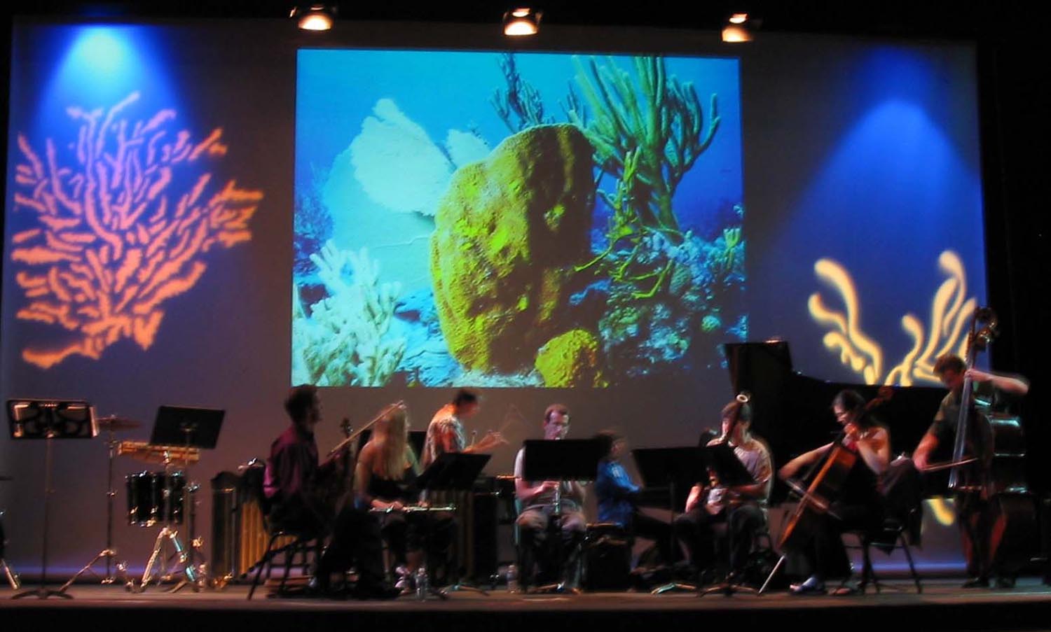 Oceanophony: La Jolla, california