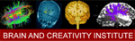 Brain and Creativity Institute